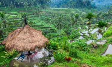 Bali Tour Package